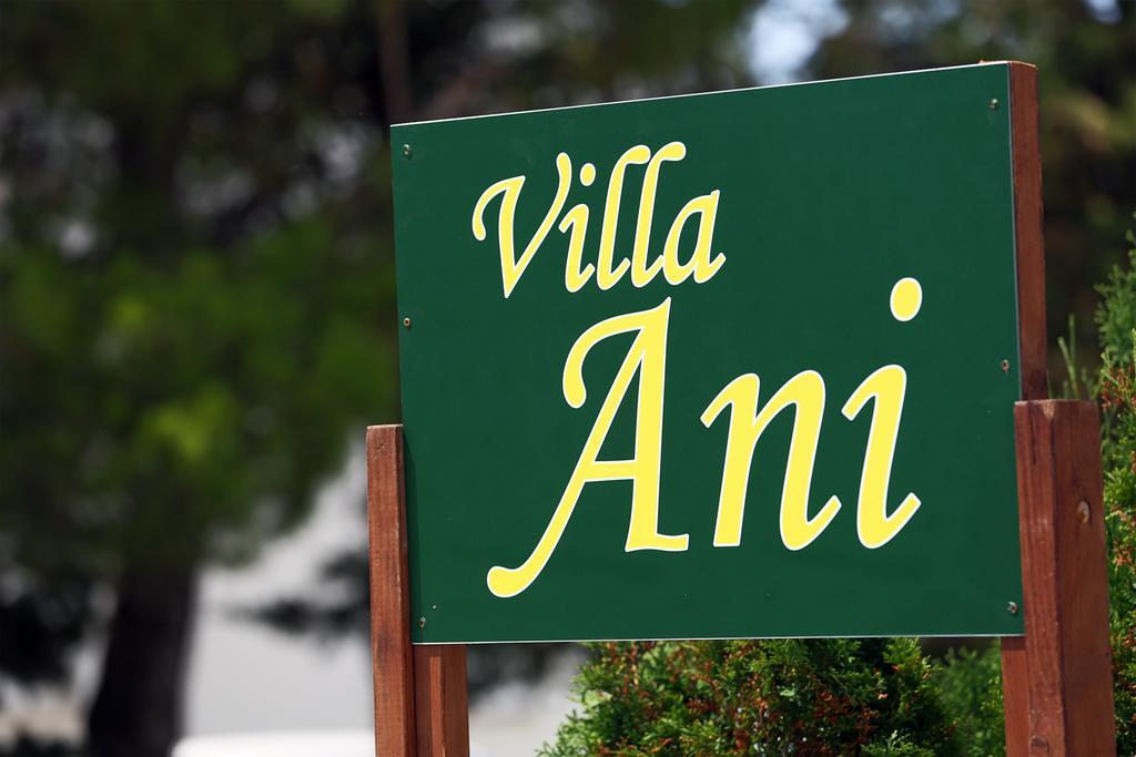 Villa Ani Novalja Exterior foto