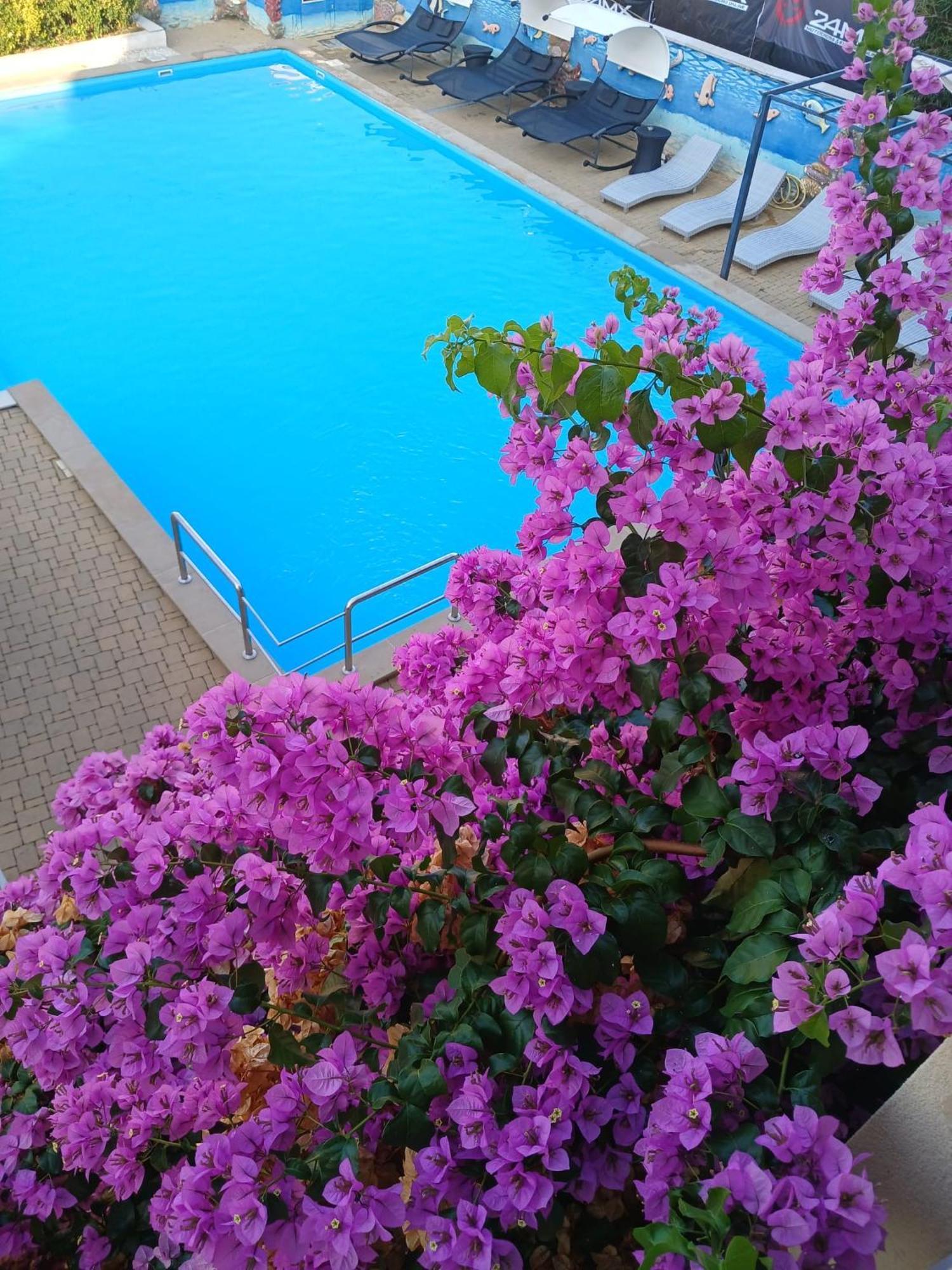 Villa Ani Novalja Exterior foto