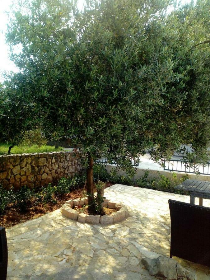 Villa Ani Novalja Exterior foto